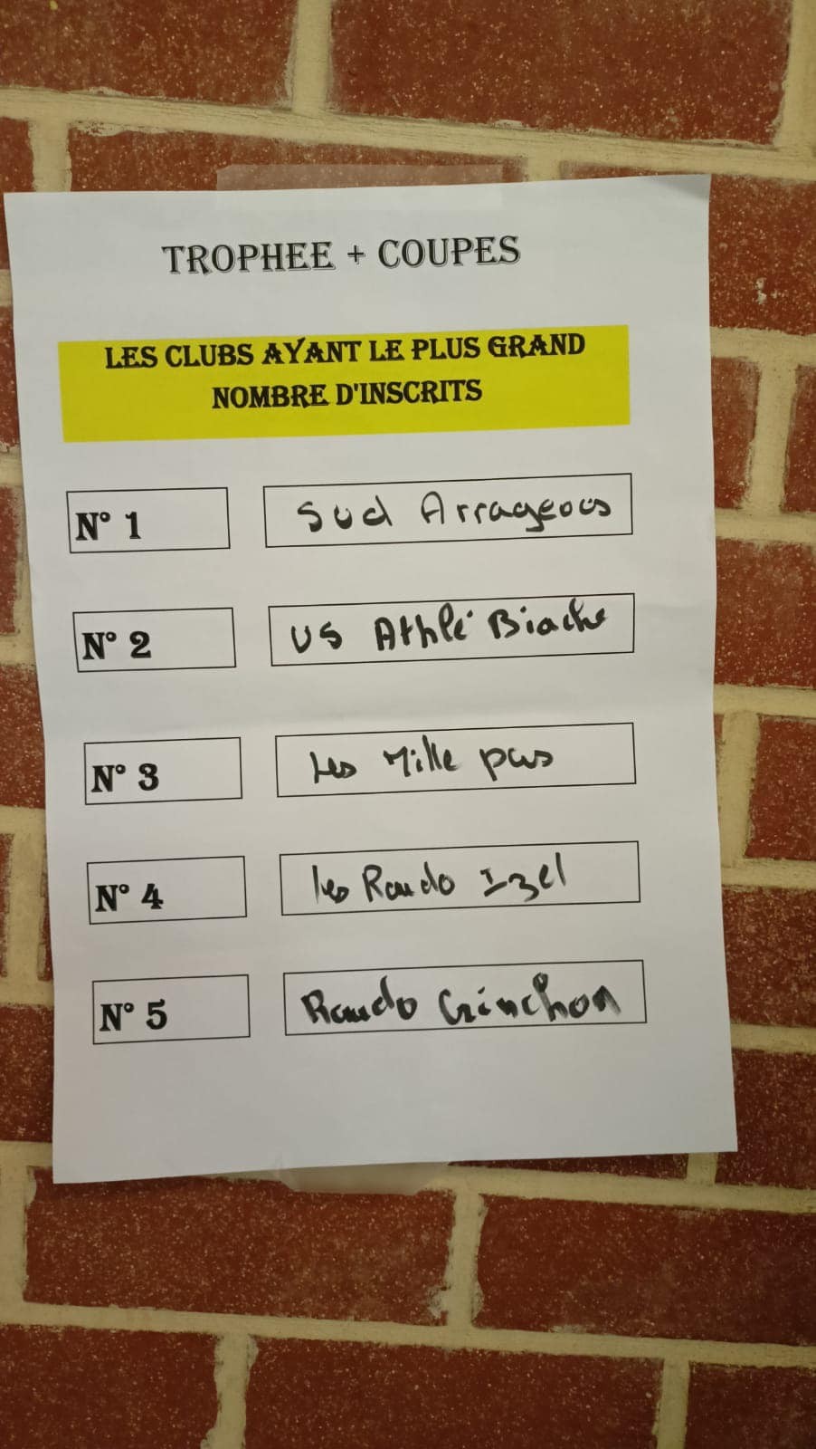 Les clubs vainqueurs 2024