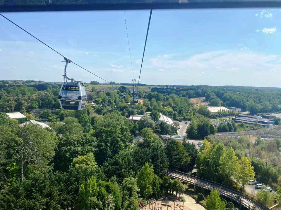Zoo de beauval 23 