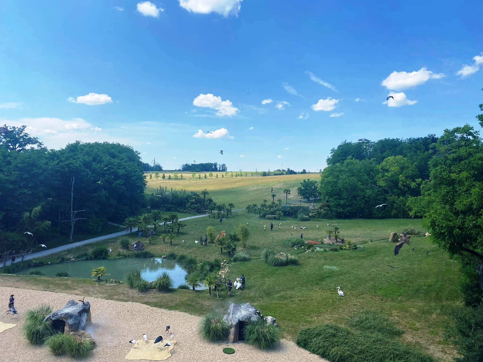 Zoo de beauval 27 